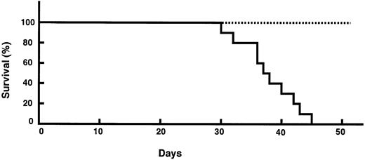 Fig. 10. Induction of leukemogenicity of TRA1-transfected Mm-S1 cells. Ten mice were injected IP with 1 × 107 Mm-S1/TRA1 clone 24 cells (solid line) or Mm-S1/neo clone 6 cells (dotted line).