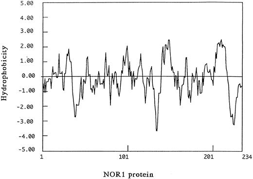 Fig. 11. Hydropathy profile of NOR1 protein. Hydrophobicity profile of NOR1 protein was obtained by using DNASIS program with the index of Kyte and Doolittle.