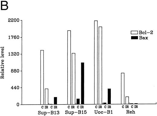 Fig. 5. Regulation of Bcl-2 and Bax in wt-p53+ ALL lines either sensitive (Sup-B13 and Sup-B15) or resistant (UoC-B1 and Reh) to IR (10 Gy). (A) shows Western blot analysis of Bcl-2 and Bax protein that was extracted either pre-IR (C) or at 7 hours post-IR (IR). Densitometric scan of bands in (A) shows relative levels of protein post-IR compared with pre-IR (B).