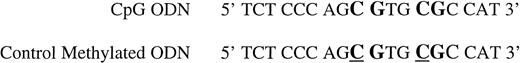 Fig. 1. Sequences of CpG ODN and methylated control ODN. Underlined cytosines in the control ODN were methylated.