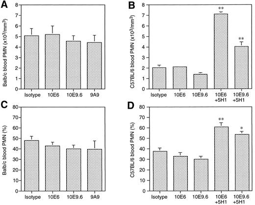 Fig. 5. Circulating neutrophil counts and fractions in Balb/c mice and C57BL/6 mice. E-selectin antibodies alone did not affect circulating neutrophil counts or the percentages in blood of either strain of mice. However, when combined with P-selectin MoAb 5H1, 10E9.6 and 10E6 caused an elevation of systemic neutrophil concentration and fraction. P-selectin antibodies are known to elevate circulating neutrophil counts even in the absence of E-selectin antibodies.10 Mean ± SEM in four mice per group. *P < .05, **P < .01 v isotype control.