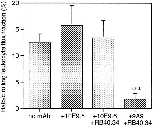 Fig. 7. Rolling leukocyte flux fraction in venules of TNF-α–treated cremaster muscle venules of Balb/c mice. The number of rolling leukocytes per minute (flux) was counted, and rolling leukocyte flux fraction was determined by dividing rolling leukocyte flux by total leukocyte flux (all leukocytes passing through microvessel). 10E9.6 had no significant effect on leukocyte rolling, either in the presence or absence of P-selectin MoAb RB40.34. In contrast, 9A9 almost completely blocked leukocyte rolling when combined with RB40.34. Mean of 9 to 21 venules in four mice. ***P < .001.