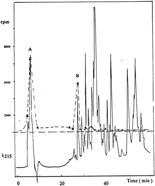 Fig. 2. HPLC profile of the proteolytic fragments of CDB3 generated upon digestion with endoproteinase Asp-N. The phosphorylation and digestion of CDB3 are described in the Materials and Methods. Digested CDB3 (0.5 mg) was applied to a C18 reverse-phase microbore HPLC column (250 × 1 mm) and eluted as described in the Materials and Methods at a flow rate of 50 μL/min. The solid line corresponds to the absorbance at 215 nm, whereas the dashed line represents the radioactivity associated with each major peak. Two radioactive peaks labeled A and B were submitted for sequence analysis, as discussed in the text.