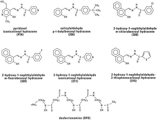 Fig. 1. Structures of the 5 PIH analogues examined in the present study: salicylaldehyde p-t-butylbenzoyl hydrazone (206), 2-hydroxy-1-naphthylaldehyde m-chlorobenzoyl hydrazone (308), 2-hydroxy-1-naphthylaldehyde m-fluorobenzoyl hydrazone (309), 2-hydroxy-1-naphthylaldehyde isonicotinoyl hydrazone (311), and 2-hydroxy-1-naphthylaldehyde 2-thiophenecarboxyl hydrazone (315). The structure of these ligands is compared with DFO and the parent compound, PIH.