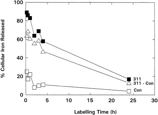 Fig. 5. The effect of preincubation time with 59Fe-Tf on the percentage of 59Fe released from SK-N-MC NB cells by either incubation medium alone (control; Con) or PIH analogue 311 (0.1 mmol/L). The difference in 59Fe release between 311 and the control (311-Con) has also been graphed to clearly show the change in the 311-mediated 59Fe release as a function of labeling time. Cells were incubated with 59Fe-Tf (1.25 μmol/L) for 15 minutes to 24 hours, washed, and then reincubated with the chelators for 3 hours at 37°C. Results are means from triplicate determinations in a typical experiment.