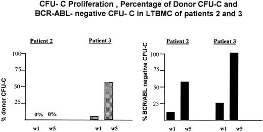 Fig. 1. Proliferation of residual donor cells and BCR-ABL− cells in LTBMC before DLI in patients 2 and 3. w1, CFU-C obtained from the nonadherent cells after 1 week in LTBMC; w5, CFU-C obtained from the adherent cell layer after a 5-week culture period. (), CFU-C from donor origin; (▪), BCR-ABL− CFU-C.