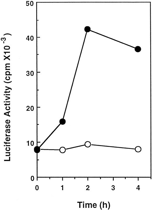 Fig. 3. IL-3–induced activation of the reporter gene in Ba/F3 cells. Cells were transfected with 50 μg of the reporter gene carrying 0.8-kb promoter region linked to luciferase gene and 5 μg of pSV2neo by electroporation. After culture in the presence of 1 mg/mL G418 for 2 weeks, a pool of G418-resistant cells was starved for 16 hours in the absence of growth factor and then stimulated with (•) or without (○) 10 ng/mL IL-3 for the indicated periods. Cell extracts were prepared and luciferase activity was measured.