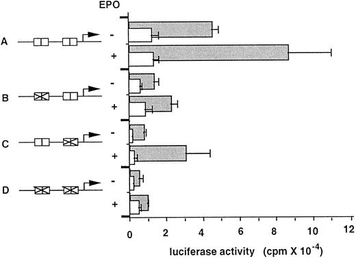 Fig. 4. EPO stimulation of the CIS promoter-luciferase reporter gene in L-ER cells. Schematic representations of each reporter construct are shown in the lower portion (A-D). Boxes indicate MGF boxes, and their disruptions are shown in B, C, and D. The plasmids (10 μg) were introduced into wild-type L cells (open bars) or transformants expressing the EPO receptor (closed bars) using a calcium phosphate method for 12 hours. After transfection, cells were incubated in the presence or absence of EPO for 24 hours and luciferase activity was measured. Luciferase activity (arbitrary units) from triplicate experiments is shown.