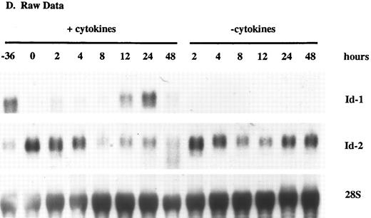 Fig. 4. Id-1 and Id-2 are differentially expressed during cell cycle. Growth of FDCP1 cells was arrested in early G1 by isoleucine deprivation. After 36 hours, half the cells were transferred into normal growth medium (time = 0), with 25% WEHIcm as a complex source of cytokines (▪), while the other half were transferred into fresh medium without WEHIcm (▨). Cells were allowed to grow for 48 hours, during which time samples were removed for RNA isolation and northern hybridization to (A) Id-1 and (B) Id-2 probes. Signal intensity was quantitated by phosphorimage analysis before the blots were normalized by rehybridization to a 28S RNA oligonucleotide. Values were plotted as the relative intensity (pixel number) of the specific bands above background for each probe. Values are comparable only within the group of samples hybridized to a single probe; different exposure times were used for each probe to maximize clarity of the phosphorimage. (C) Cell cycle progression was monitored by 3H-thymidine uptake of the cytokine-replete, proliferating population. / (D) Raw data.