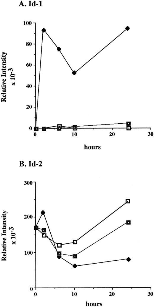 Fig. 5. Differential response of Id-1 and Id-2 to cytokine stimulation in vitro. FDCP1 cells were starved of cytokines for 24 hours, then transferred into fresh medium (□) or medium containing 100 U/mL of either rIL-3 (♦) or rGM-CSF (▪) at time zero. The cells were allowed to grow for 24 hours, during which time samples were removed for RNA preparation and northern hybridization to (A) Id-1 and (B) Id-2 probes. Signal intensity was quantitated by phosphorimage analysis before the blots were normalized by rehybridization to GAPDH. Values were plotted as the relative intensity (pixel number) of the specific bands above background for each probe. Values are comparable only within the group of samples hybridized to a single probe; different exposure times were used for each probe to maximize clarity of the phosphorimage. (C) Raw data.