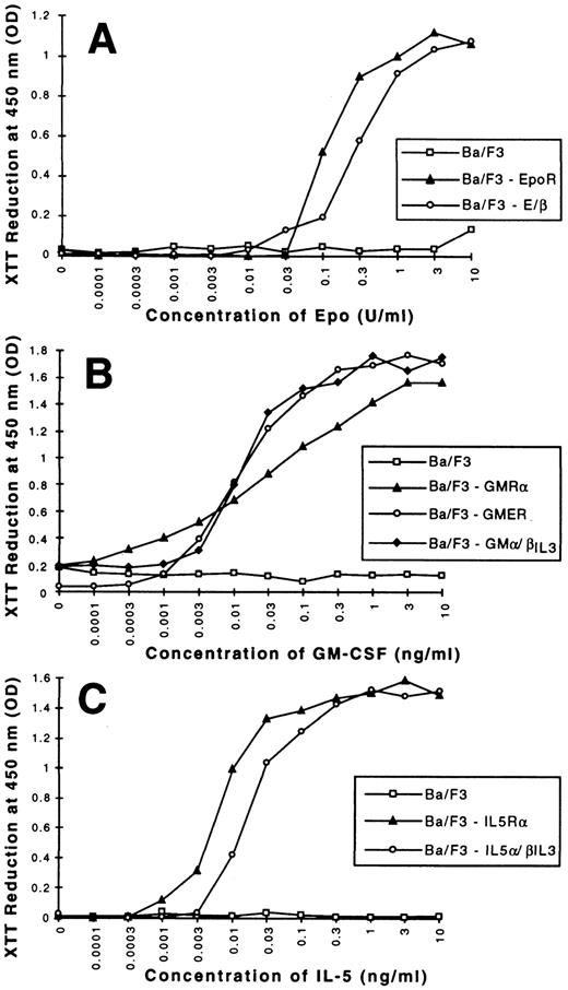 Fig. 4. Dose-response curves of Ba/F3 cell clones. 5 × 104 cells were washed three times in PBS and starved for 6 hours in RPMI 1640 medium containing 10% FCS, and then stimulated with the indicated concentrations of Epo (A), GM-CSF (B), IL-5 (C). After 60 hours, XTT was added and the absorbance at 450 nm determined. RPMI medium was used as a blank. Each experiment was done in triplicates; values shown are means. Identical curves were observed in two other independent experiments.