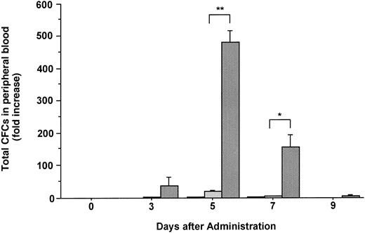 Fig. 2. Changes in the number of total CFCs in the PB during the administration of FL at 20 μg/kg (□), G-CSF at 250 μg/kg (), and FL plus G-CSF () for 5 days. Data are mean ± SE and are expressed as fold increases relative to mice before treatment. Points that differ significantly from data for G-CSF administration on the same day are marked: **P < .005, *P < .05.