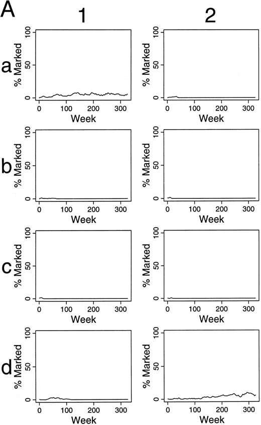 Fig. 4. Simulations of gene therapy in which two marked cells were included among the 300 hematopoietic stem cells (A). In the comparable simulations of (B) and (C), however, the label is not neutral. In (B), it confers a twofold self-renewal advantage to HSC, ie, the p(HSC replication) for marked cells is two times that of unmarked cells. / In the simulations of (C), a marked clone has a one-half chance of exhaustion when compared with unmarked clones, ie, the p(exhaustion of a differentiating clone) is one-half that of unmarked clones.
