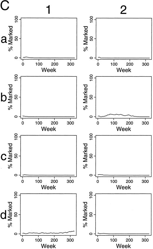 Fig. 4. Simulations of gene therapy in which two marked cells were included among the 300 hematopoietic stem cells (A). In the comparable simulations of (B) and (C), however, the label is not neutral. In (B), it confers a twofold self-renewal advantage to HSC, ie, the p(HSC replication) for marked cells is two times that of unmarked cells. / In the simulations of (C), a marked clone has a one-half chance of exhaustion when compared with unmarked clones, ie, the p(exhaustion of a differentiating clone) is one-half that of unmarked clones.