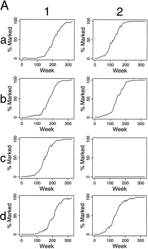Fig. 5. Simulations of gene therapy in which two marked cells are included among the 300 transplanted HSCs. Marked cells have one-half the chance of differentiation as unmarked HSC. In this circumstance, marked clones often dominate hematopoiesis, sometimes requiring 250 weeks from transplantation, however. The kinetics by which labeled hematopoietic stem cells dominate hematopoiesis are shown in (B). Column 1 shows the kinetics of the outcome seen in experiment a1 of (A). Marked clones first dominated the hematopoietic stem cell reserve, and then the contributing clone compartment. The last two rows of column 1 shows this effect in terms of the number of marked (solid line) and unmarked (dotted line) cells within the hematopoietic stem cell reserve, and the number of marked and unmarked clones contributing to hematopoiesis, respectively. Column 2 presents the additional data from experiment b2 of (A) and shows a similar kinetics.
