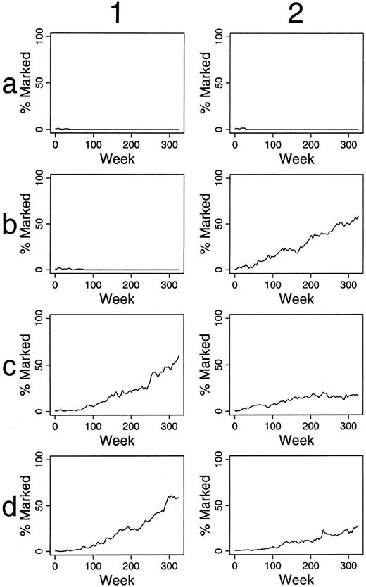 Fig. 6. Simulations of gene therapy in which two marked cells were included among the 300 transplanted HSCs. For these simulations, the apoptosis of unmarked HSC occurred on average once per 50 weeks. The chance of apoptosis for marked cells was one-half that of unmarked HSC. This manipulation led to persistence of a marked clone in most simulations (eg, panels 1c, 1d, 2b, 2c, and 2d). The percentage of marked progenitor cells increased slowly over time in these cases.
