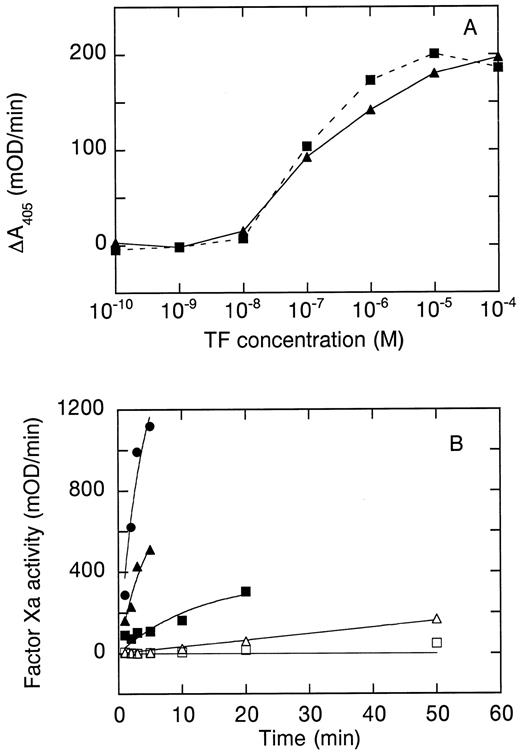 Fig. 1. Cofactor function of hTFAA. (A) Stimulation of amidolytic activity of 100 nmol/L human factor VIIa on the chromogenic substrate Spectrozyme FXa by wild-type sTF (▴) or hTFAA (▪). (B) Activation of FX by FVIIa in complex with mTF (⋅), sTF (▴, ▵) or hTFAA (▪, □). For measurements with mTF, the mTF concentration was 25 nmol/L and the FVIIa concentration was 5 nmol/L. Experiments with sTF and hTFAA used 250 nmol/L sTF or hTFAA and 50 nmol/L FVIIa (▵, □) or 500 nmol/L FVIIa and 2.5 μmol/L sTF or hTFAA (▴, ▪). The substrate (FX) concentration in these experiments was 1 μmol/L.