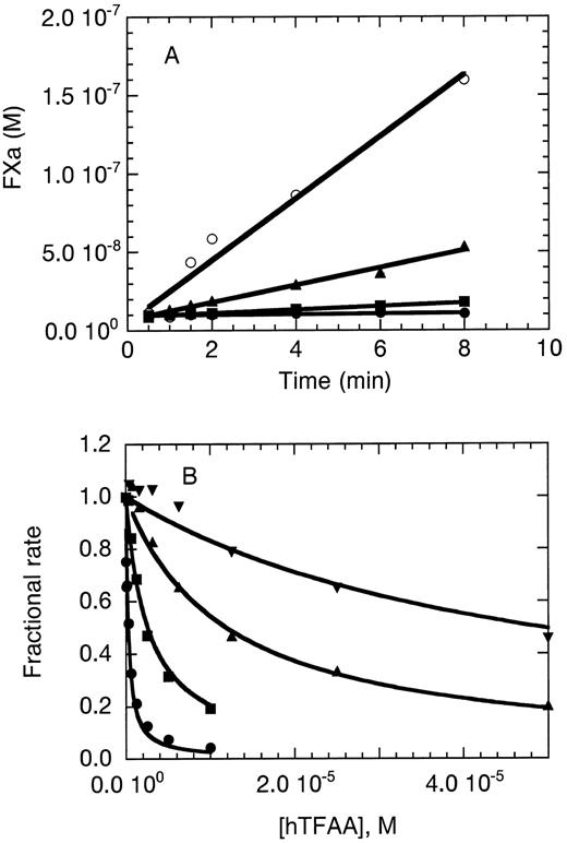Fig. 3. hTFAA functions in vitro as an antagonist of membrane bound TF. (A) hTFAA inhibition of FX activation catalyzed by mTF⋅FVIIa. The concentrations of FVIIa, mTF, and FX were 1 nmol/L, 10 nmol/L, and 1 μmol/L, respectively. Rate of FXa generation is shown for 0 (○), 100 nmol/L (▴), 1 μmol/L (▪), and 10 μmol/L (⋅) hTFAA. (B) hTFAA inhibition of relipidated TF(1-243)⋅FVIIa catalyzed activation of FX. For these experiments, the FVIIa concentration was 0.05 nmol/L, the substrate (FX) concentration was 200 nmol/L, and the TF(1-243) concentration was 0.05 nmol/L (⋅), 0.2 nmol/L (▪), 1 nmol/L (▴), or 5 nmol/L (▾). The rate of FXa production in the presence of the indicated hTFAA concentration was measured and is reported as the fraction of the rate observed in the absence of hTFAA. Solid lines are the result of nonlinear regression analysis by using equation 2 yielding the binding constants shown in Table 3.