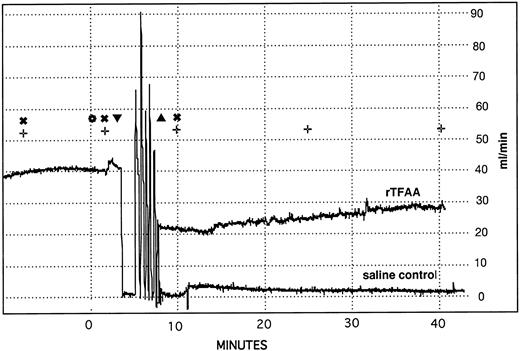 Fig. 6. Superimposed recordings of carotid artery blood flow in representative rabbits treated with saline or rTFAA. Blood flow through the carotid artery of anesthetized rabbits was monitored with an ultrasonic flow probe (Transonics). The following procedures were performed at the times designated by the symbols in the figure: () IV bolus administration of test compounds, (▾) embolectomy catheter inserted, (▴) embolectomy catheter removed, (✖) cuticle bleeding time determined, (+) blood sample collected for APTT and PT determination. The rapid changes in blood flow that occur between catheter insertion and catheter removal are the result of inflating and deflating the balloon between six repeated passes through a 2-cm segment of artery.