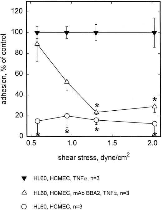 Fig. 3. Adhesion of HL60 to HCMEC is blocked by MoAb BBA2 against E-selectin. At shear stresses <1.0 dyne/cm2, adhesion of HL60 cells to TNF-α–stimulated HCMEC was significantly blocked by preincubation with MoAb BBA2. No adhesion is seen on unstimulated HCMEC. Mean values ±SEM; * P < .05 versus positive control.