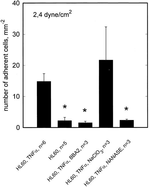 Fig. 7. TNF-α–stimulated adhesion of HL60 cells to HCMEC is inhibited by neuraminidase but not by NaClO3 . At 2.4 dyne/cm2, adhesion of HL60 cells to activated HCMEC is reduced by anti–E-selectin MoAb BBA2 to the level of adhesion on nonactivated HCMEC. E-selectin dependent adhesion is inhibited by neuraminidase digestion of sLex from the HL60 cell surface. Cultivation of HCMEC in the presence of NaClO3 shows no effect on the adhesion behavior. Mean values ±SEM; *P < .05 versus positive control.