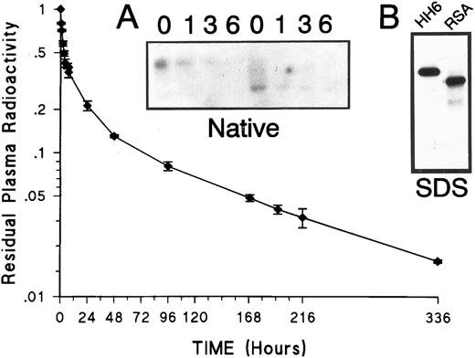 Fig. 8. Clearance of HLA(H)6 from the rabbit circulation. Rabbits were injected with 125I-HLA(H)6 , and the fraction of the protein-bound radioactivity remaining in the circulation was determined over time (n = 3, ±SD). (Inset A) An autoradiogram of a 10% polyacrylamide nondenaturing gel (Native), on which 5 μL of plasma from rabbits injected with HLA (first four lanes) and RSA (last four lanes) have been electrophoresed. (Inset B) An autoradiogram of a 10% SDS gel (SDS) on which aliquots of radioiodinated purified HLA(H)6 (HH6), and purified plasma-derived RSA (RSA) have been electrophoresed.