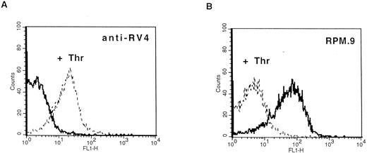 Fig. 4. Detection of thrombin-activated rat platelets by FACS analysis with the anti-RV4 polyclonal antibody and MoAb RPM.9. Washed rat platelets (2 × 105) were incubated with 2 μg of anti-RV4 followed by FITC-labeled goat antirabbit antibody (A) or with 2 μg of MoAb RPM.9 followed by FITC-labeled goat antimouse antibody (B) after treatment with 5 U/mL thrombin (dashed line) or without treatment (solid line). (A) Anti-RV4 did not bind to resting platelets and gave a fluorescence signal equivalent to that of a nonimmune serum (data not shown). Treatment with thrombin resulted in a positive shift in fluorescence suggesting that anti-RV4 recognizes the new NH2-terminus generated by cleavage of rat GPV. (B) On the contrary, MoAb RPM.9 positively labeled resting rat platelets, while thrombin treatment shifted the fluorescence signal to negative values. Thus, MoAb RPM.9 appears to bind to a fragment NH2-terminal to the thrombin cleavage site, which is released from thrombin activated platelets.