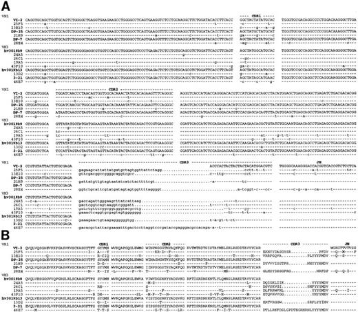 Fig. 2. Nucleotide (A) and deduced amino acid (B) sequences of anti-Rh(D) H chain V regions. The H chains are classified according to VH families and germline VH used (V1-2, DP-25, DP7, hv3019b9, hv3019b13, 3-21). Dashes indicate identity. The JH segment is a consensus sequence. References for germline genes are in Table 1. Genbank accession numbers for anti-Rh(D) H chains are as follows: 25F5:U43758, 13E10:U43762, 21H9: U43760, 28E4:U43756, 24A5:U43759, 26C1:U43757, 19A5:U43761, 43F10:U43755, 13D2:U43763, and 46E7:U43754.