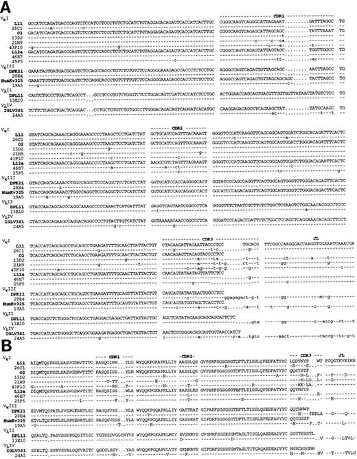 Fig. 3. Nucleotide (A) and deduced amino acid (B) sequences of anti-Rh(D) L chain V regions. The L chains are classified according to isotype and to VL families and germline segments used (L11, 02, L12a, DPK21, HumKv325, DPL11, IGLV3S1). Dashes indicate identity. The JL segment is a consensus sequence. References for germline genes are in Table 1. Genbank accession numbers for anti-Rh(D) L chains are as follows: 26C1:U43767, 13D2:U43773, 21H9:U43770, 43F10:U43765, 46E7:U43764, 25F5:U43768, 28E4:U43766, 19A5:U43771, 13E10:U43772, and 24A5:U43769.