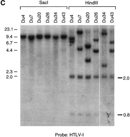Fig. 1. (A through C) Southern blot analysis of the HTLV-I provirus and T-cell receptor gene rearrangement in human T-cell clones. Genomic DNA digested with EcoRI (A, B) Sac I, or HindIII (C) was hybridized with the probe indicated. All clones except Du35 were infected with HTLV-I. (D) Restriction map of the HTLV-I genome. Numbers indicate the predicted length in kb of restriction fragments.