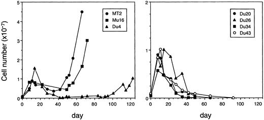 Fig. 3. Immortalizing capacity of HTLV-I–producing T-cell clones. Curves show the growth of PHA-stimulated PBMCs cocultivated with MT2 cells, with virus-producing T-cell clones (Mu16, Du4, Du26), or with silently infected clones (Du20, Du34, Du43).