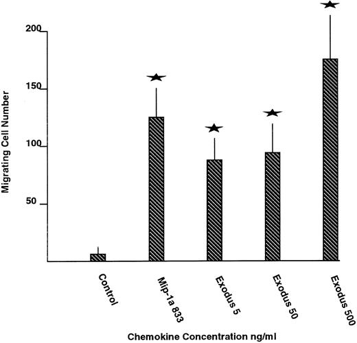 Fig. 4. The effect of pure synthetic Exodus on chemotactic activity of normal human PBMCs. Chemotaxis was measured by transwell migration. The highest concentrations of Exodus stimulated chemotaxis more efficiently than maximally effective concentrations of MIP-1 α. The values represent the average of two experiments performed in nine transwells each time plus or minus the standard error. The stars represent statistically significant differences from the control at P < .05 using the unpaired Student's t-test.