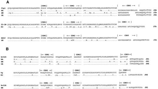 Fig. 2. Deduced amino acid sequences of lymphoma V genes. Differences of the VH and VL consensus sequences from the most closely related germline genes are shown in (A) and (B), respectively, as upper case letters or are underlined in the J regions. The locations of silent mutations in the nucleic acid sequences are indicated with lower case letters.
