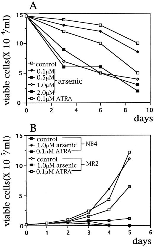 Fig. 1. Effects of As2O3 on APL cell growth. (A) Primary BM cells from one relapsed APL patient were incubated with As2O3 (0.1 to 2.0 μmol/L) and ATRA (0.1 μmol/L) for 9 days. Fresh APL cells from five other patients had similar results (not shown); (B) ATRA-susceptible NB4 cells and ATRA-resistant–MR2 cells were incubated with As2O3 (1 μmol/L) and ATRA (0.1 μmol/L) for 5 days. Viable cell numbers were calculated with typan-blue exclusion. Every point represents the mean of triplicated samples.
