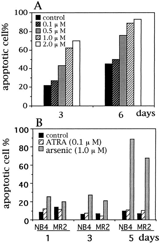 Fig. 3. The percentage of apoptotic APL cells after As2O3 treatment. (A) Primary APL cells were incubated with different concentrations of As2O3 for 3 and 6 days; (B) NB4 cells and MR2 cells were incubated with As2O3 (1.0 μmol/L) and ATRA (0.1 μmol/L) for 1, 3, and 5 days. The percentage of apoptotic cells or sub-G1 cells was analyzed by flow cytometer.