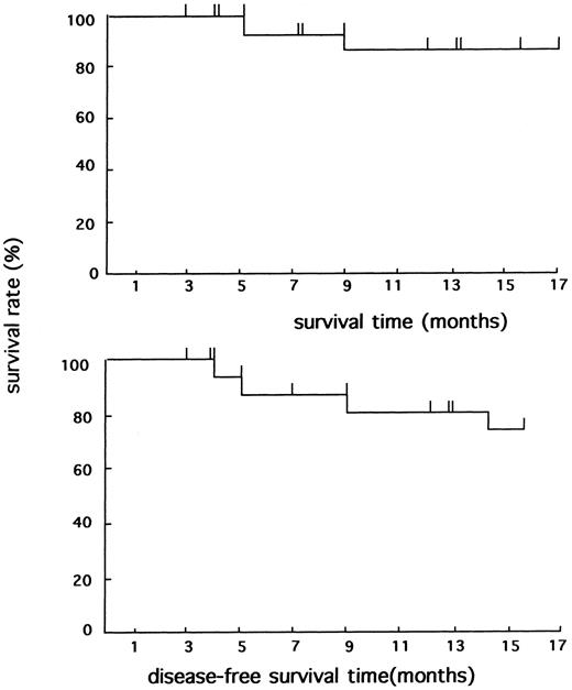 Fig. 1. Overall survival (top) and disease-free survival (bottom) curves of 14 relapsed APL patients after As2O3-induced CR.