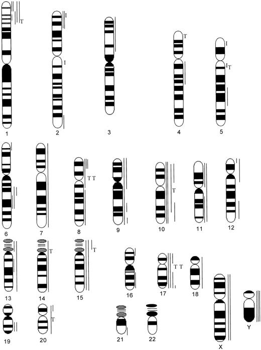 Fig. 1. Schematic diagram illustrating the banding pattern of human chromosomes and the distribution of monosomy and breakpoints in structural rearrangements observed in 18 patients with MF/SS. ( — ), Monosomy, deletion, and translocation with unidentified segment; T, translocation; I, inversion.