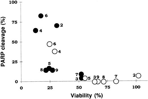 Fig. 2. Correlation between cell viability and PARP degradation. The values of cell viability for cells incubated without (○) or with 10 μmol/L dexamethasone (•) are shown in Table 1. PARP degradation was quantified by densitometric scanning of the immunoblots. Numbers beside the symbols indicate patient numbers.