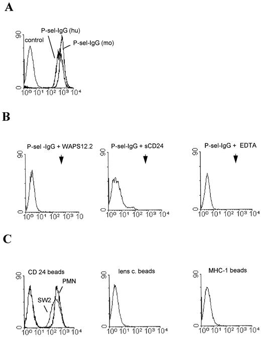 Fig. 4. Fluorescent staining of CD24-coated beads with selectin-IgGs. (A) CD24-coated polysterene beads derived from KS tumor cells were stained with human or mouse P-selectin–IgG chimeric proteins and FITC-conjugated goat antibodies directed against the Fc part of human IgG. (B) Staining of CD24 beads (KS cells) with human P-selectin–IgG in the presence of 2 mmol/L EDTA, an MoAb to P-selectin or soluble CD24. Arrowheads indicate the position of the positive control (see A). (C) CD24-coated latex beads derived from SW2 tumor cells or neutrophils, control beads coated with lens culinaris glycoproteins from SW2 cells, or MHC class I–coated beads were stained with human P-selectin–IgG as described.