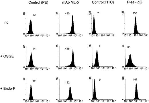 Fig. 5. Effect of enzymatic treatment on P-selectin binding to CD24-coated beads. CD24-coated beads derived from PMNs were stained with human P-selectin–IgG and MoAb ML-5 against CD24 after treatment of the beads with endoglycosidase F to remove N-linked glycans or with OSGE from Pastorella hemolytica to cleave the protein at O-linked glycans. Samples treated with enzyme buffer alone did not show any change (not shown). Note that similar results were obtained with beads coated with CD24 antigen derived from SW2 or KS tumor cells.
