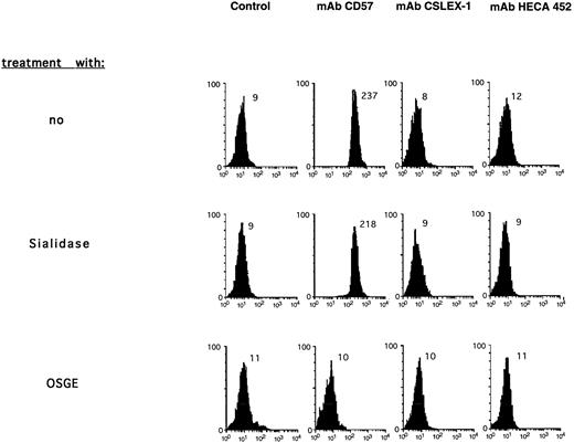 Fig. 7. Analysis of CD24 associated carbohydrates. CD24 beads derived from PMNs were stained with MoAb HECA-452 (sialylLex/a) and MoAb CSLEX (sialylLex) followed by phycoerythrin (PE)-conjugated secondary antibodies goat-antirat-IgG or antimouse-IgG, respectively, or biotinylated CD57 MoAb followed by streptavidin-PE. Beads were stained also after treatment with OSGE from P hemolytica to cleave the protein at O-linked glycans. Samples treated with enzyme buffer alone did not show any change (not shown). Note that similar results were obtained with beads coated with CD24 antigen derived from SW2 tumor cells.