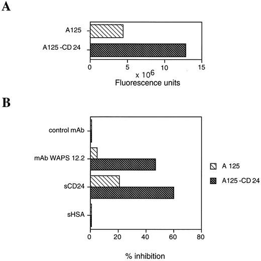 Fig. 9. Binding and inhibition of CD24-transfected A125 adenocarcinoma cell versus nontransfected cells to human platelets. (A) PMA-activated platelets were adsorbed to 96-well tissue culture plates at 37°C for 1 hour. Europium-labeled tumor cells (A125 v A125-CD24) were adjusted to 106/mL and equal numbers of cells were allowed to bind. Note that the Eur3+ labeling of both types of cells was similar. (B) PMA-activated platelets were adsorbed to 96-well tissue culture plates at 37°C for 1 hour. Europium-labeled tumor cells A125 and A125-CD24 were allowed to bind in the absence or presence of the indicated antibodies or 2 μg/mL soluble CD24 or HSA, respectively. Bound and nonbound cells were separated by buoyant density as described in Materials and Methods. After fixation of bound cells the Europium fluorescence was measured and the results are expressed in percent inhibition of the added compound relative to medium control. Three independent experiments with similar results were performed for (A) and (B) and one representative experiment is shown.