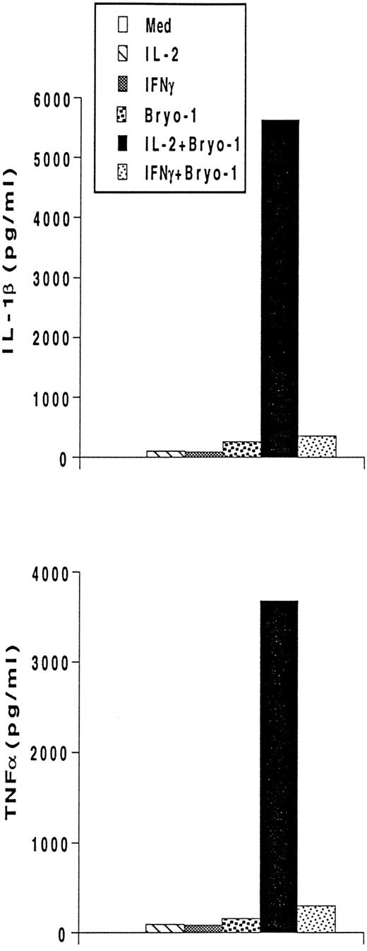 Fig. 4. Bryo-1 differentially affects IL-2– and IFN-γ–dependent secretion of IL-1β and TNF-α. Monocytes were stimulated with IL-2 (1,000 U/mL) or IFNγ (500 U/mL) in the presence or absence of 0.1 ng/mL of bryo-1. Supernatants were collected after 18 hours of treatment and assayed for IL-1β and TNF-α by ELISA. Data from one representative experiment are shown.