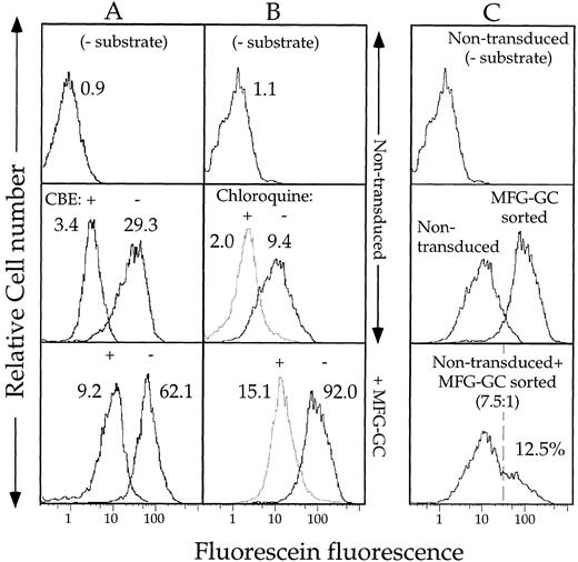 Fig. 2. Properties of substrate hydrolysis and product retention in fibroblasts expressing heterogeneous levels of GC. Fluorescence data on 10,000 viable cells was collected by FACS, as described, and is displayed in histogram form. The fluorescence profiles of fibroblasts incubated in the absence of substrate are shown for each experiment. (A) To determine the role of GC in PFBFDGlu hydrolysis, nontransduced, or MFG-GC transduced fibroblasts were incubated in the presence of 1 mmol/L CBE for 30 minutes at 37°C before incubation in the presence of 1 mmol/L PFBFDGlu. The MF values of each population are included above each histogram. (B) To determine the pH sensitivity of substrate hydrolysis, nontransduced or sorted MFG-GC transduced cells were incubated in the presence or absence of 600 μmol/L chloroquine during the last 5 minutes of 1 mmol/L CMFDGlu loading, as described above. (C) Fluorescence histograms of nontransduced, sorted MFG-GC transduced, or a 7.5:1 mix of nontransduced and sorted MFG-GC transduced cells incubated in the presence of 1 mmol/L CMFDGlu. Note: data shown in B and C was collected in the same experiment.
