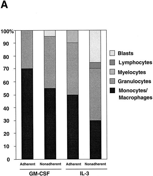 Fig. 4. (A) Differential counts of GM-treated cells and IL-3–treated cells. Adherent and nonadherent cells were recovered on day 7 and the cytospin slides were subjected to May-Grünwald-Giemsa staining. (B) FCM analysis of murine BM cells after GM-CSF or IL-3 stimulation. The nonadherent BM-derived cells were analyzed for F4/80 expression (left panels) and c-Fms expression (right panels). Cells were harvested on day 0 (top panels), and on day 7 of either GM-CSF (middle panels) or IL-3 (bottom panels) stimulation. Solid line, stained with F4/80-FITC or anti-c-Fms-FITC; dotted line, unstained.