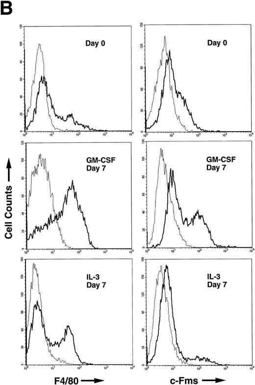 Fig. 4. (A) Differential counts of GM-treated cells and IL-3–treated cells. Adherent and nonadherent cells were recovered on day 7 and the cytospin slides were subjected to May-Grünwald-Giemsa staining. (B) FCM analysis of murine BM cells after GM-CSF or IL-3 stimulation. The nonadherent BM-derived cells were analyzed for F4/80 expression (left panels) and c-Fms expression (right panels). Cells were harvested on day 0 (top panels), and on day 7 of either GM-CSF (middle panels) or IL-3 (bottom panels) stimulation. Solid line, stained with F4/80-FITC or anti-c-Fms-FITC; dotted line, unstained.
