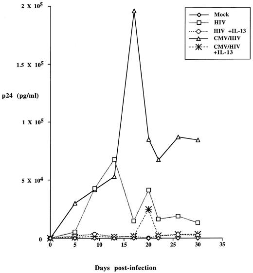 Fig. 1. IL-13 blocks HIV-1 replication in alveolar macrophages coinfected with HCMV. Alveolar macrophages were cultured at a density of 1 × 106 cells per well for 7 days before exposure to HCMV and/or HIV-1. Half the cultures also received 50 ng/mL IL-13 for 2 days before virus challenge. Different cultures were then incubated with HIV-1BAL (5 × 105 cpm RT activity) with or without HCMV Davis (MOI of 1) as indicated. After 4 hours, the viruses were removed and the cultures were washed three times with 1 mL HBSS, then refed either with macrophage growth medium alone or supplemented with the same concentration of IL-13. Mock exposed alveolar macrophages received growth medium alone. Culture supernatants were removed and replaced with fresh growth medium at 5, 8, 13, 17, 20, 22, 26, and 30-days postinfection and stored at −20°C until assayed for HIV-1 p24 antigen production by ELISA (DuPont).