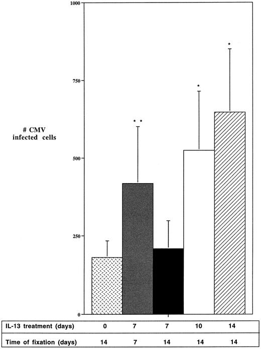 Fig. 3. IL-13 enhances HCMV gene expression in infected macrophages. Day 7 alveolar macrophages, cultured at a density of 1 × 106 cells/well, were pretreated for 2 days with 50 ng/mL IL-13, unless indicated otherwise, and then exposed to HCMV Davis (MOI of 1). The virus was removed after 4 hours and the cells were maintained as follows: Mock: No IL-13. Cells fixed at day 14; 7/0: IL-13 for 7 days after HCMV infection. Cells fixed at day 7; 7/7: IL-13 for 7 days after HCMV infection. Cultures maintained for an additional 7 days without IL-13 and fixed on day 14; 10/4: IL-13 for 10 days after HCMV infection. Cultures maintained for an additional 4 days without IL-13 and fixed on day 14. 14/0: IL-13 for 14 days after HCMV infection, until the cells were fixed on day 14. All cells were fixed in methanol and probed with anti-CMV IE antibody. HCMV (+) cells were quantified under a light microscope at 200× magnification. Data are derived from 3 wells from 3 different experiments. Statistically significant differences from the control were determined by employing the Student's t-test. * = P < .05; ** = P < .01; *** = P < .001.