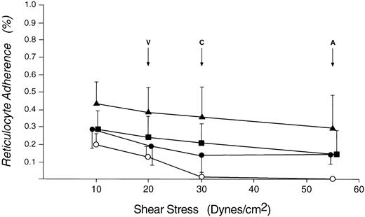 Fig. 3. Mean percentage of reticulocytes that are adherent to cultured endothelial monolayers at various shear stresses. (▴), Patient A.M.; (▪), patient E.M.; (•), patient J.W.; (○), age- and sex-matched controls. V, maximum venule shear stress; C, maximum capillary shear stress; A, maximum arteriole shear stress.
