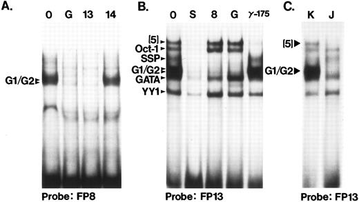 Fig. 6. Two binding sites for the G1/G2 complexes. (A) Binding of G1/G2 to FP8. The binding assay was done under standard conditions, using a HeLa extract. Competitor DNA (100 ng) was added as indicated above the lanes. 0, no competitor; G, GALCAT competitor (see Table 1); this competitor binds the G1/G2 complexes37; 13 and 14, human FP probes. (B) Competition assay to define the complexes that bind probe FP13. K562 extracts were used. The identities of the complexes, established by these and other competition and binding assays are indicated at left. Competitors (100 ng) added were: 0, no competitor; S, FP13; 8, FP8; G, GALCAT; γ-175, from the human γ promoter −175 region (see Table 1), an oligonucleotide that binds GATA-1, GATA-like proteins and Oct-1.3233 Although the GATA complex bound by FP13 comigrates with GATA-1, it is not erythroid specific (data not shown). A similar complex (called NOTAGATA) has been noted in HS2 (Zhu et al, unpublished data). (C) Cell-type specificity of the factors that bind to FP13. The G1/G2 complexes are not found in Jurkat cells (J) as indicated earlier,37 but are present in other nonerythroid cells (not shown). Likewise, complex (5) is missing in Jurkat cells, and present in K562 cells (K) as well as several other cell types (CaCo2 and HeLa cells, data not shown).